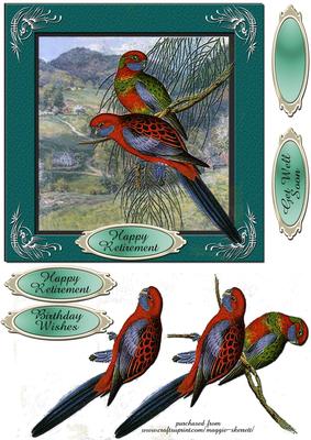 2 Lorikeets Male Birthday Card Front