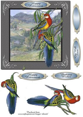 2 Australian Rosellas Card Front