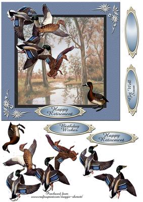 Colourful Birds Series - Quick Card 2