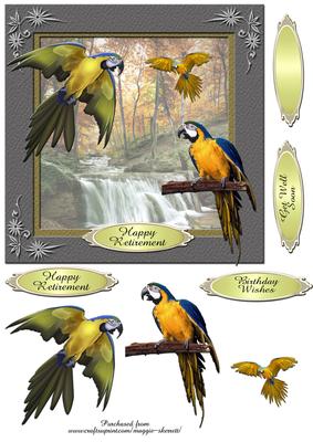 Colourful Birds Series - Quick Card 4