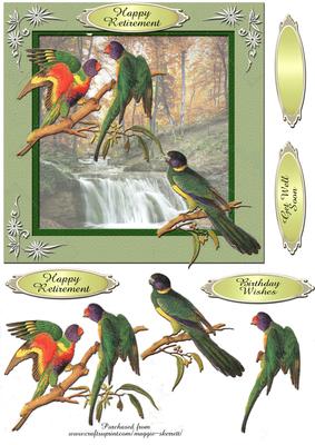 Colourful Birds Series - Quick Card 5