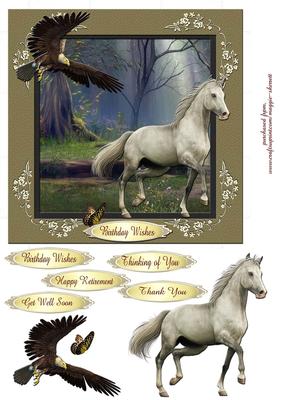 Horses and Birds 1 - Quick Card