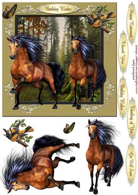 Horses and Birds 3 - Quick Card