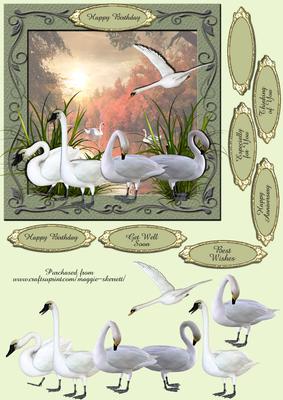 Swans on Lake 3D Quick Card