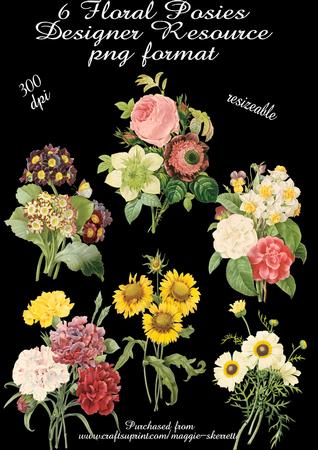 Set of 6 Floral Posies, Png Format, Designer Resource