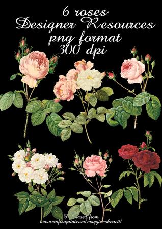 6 Vintage Roses, Png Files, Designer Resource