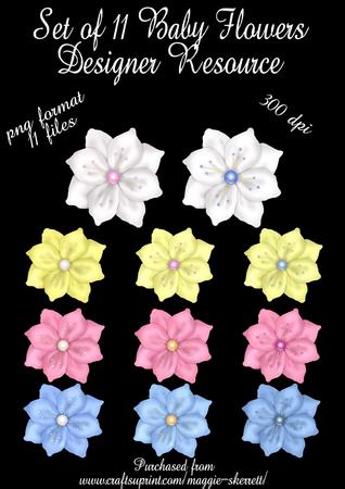 Set of 11 Baby Flowers. Png Format