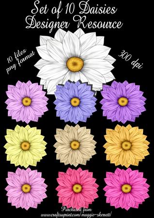 Set of 10 Individual Daisies Designer Resource
