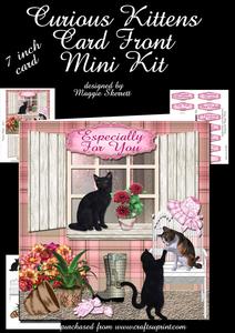 Curious Kittens Card Front Mini Kit
