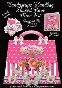 Candy Stripe Handbag and Gift Card