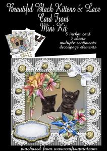 Beautiful Black Kittens and Lace Card Front