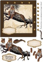Wild Cheetah Card Front