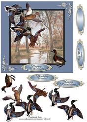 Colourful Birds Series - Quick Card 2