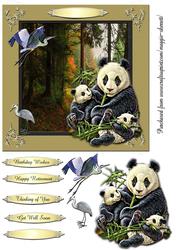 Wild Animals 3 Quick Card Topper