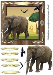 Wild Animals 4 Quick Card Topper