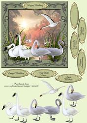 Swans on Lake 3D Quick Card