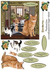 Mad Cat Lady Birthday