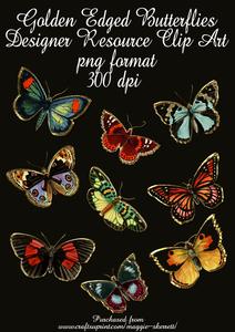 Set of 9 Gold Edged Butterflies, Designer Resource.