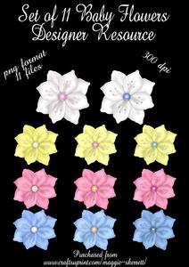 Set of 11 Baby Flowers. Png Format