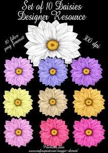 Set of 10 Individual Daisies Designer Resource