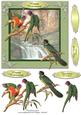 Colourful Birds Series - Quick Card 5