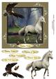 Horses and Birds 1 - Quick Card