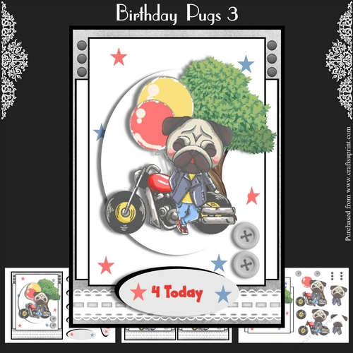 Birthday Pugs 3
