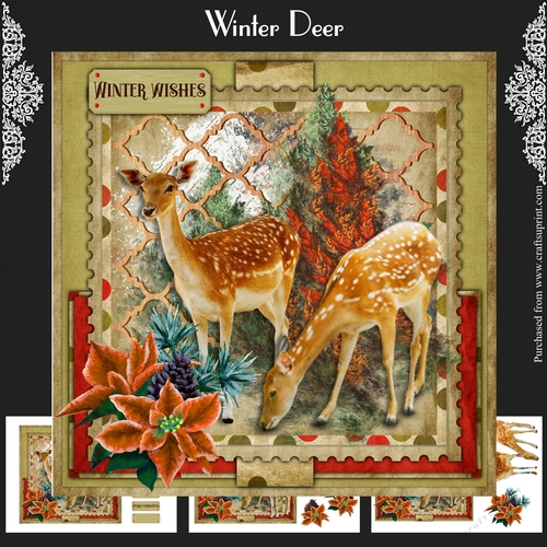 Winter Deer