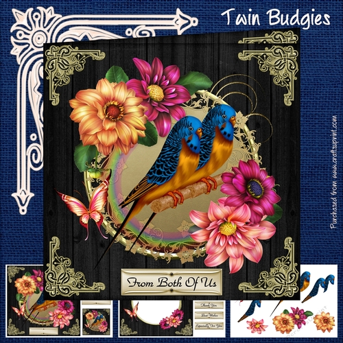Twin Budgies