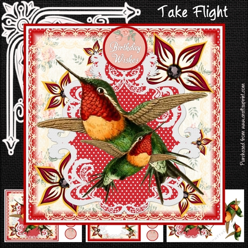 Take Flight