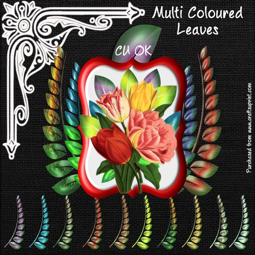Multi Coloured Leaves