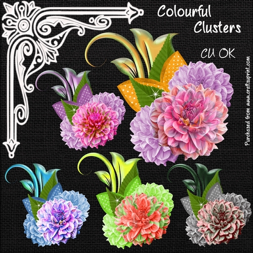 Colourful Clusters