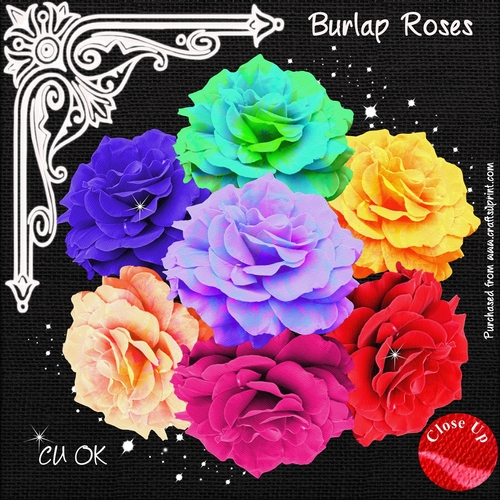 Burlap Roses