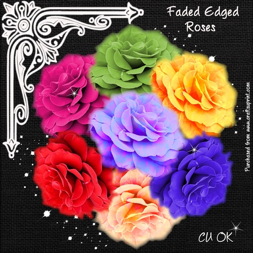 Faded Edged Roses