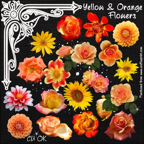 Yellow & Orange Flowers