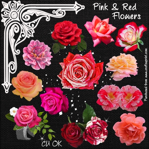 Pink & Red Flowers