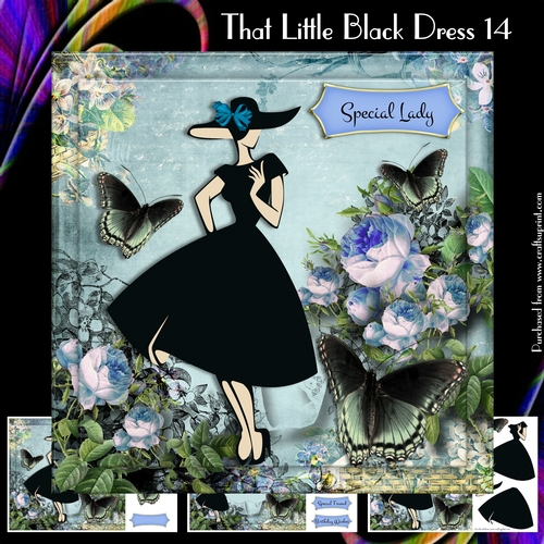 That Little Black Dress 14
