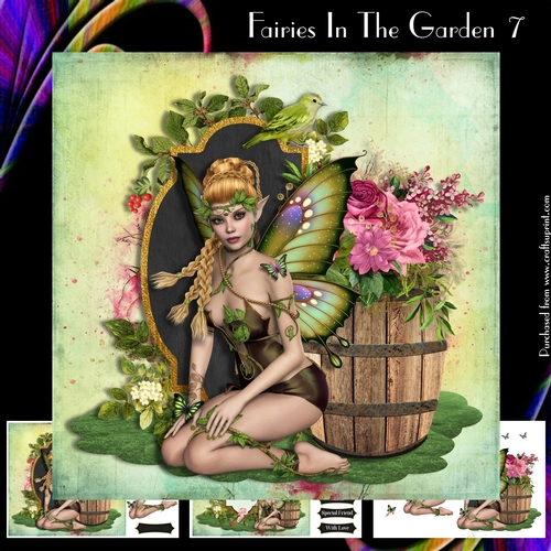 Fairies In The Garden 7