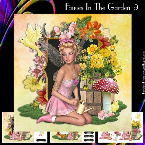 Fairies In The Garden 9