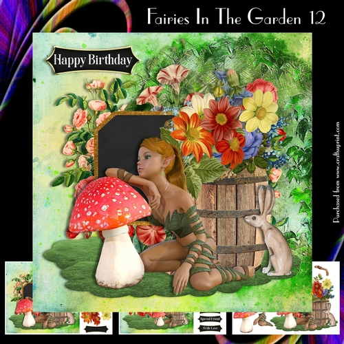 Fairies In The Garden 12