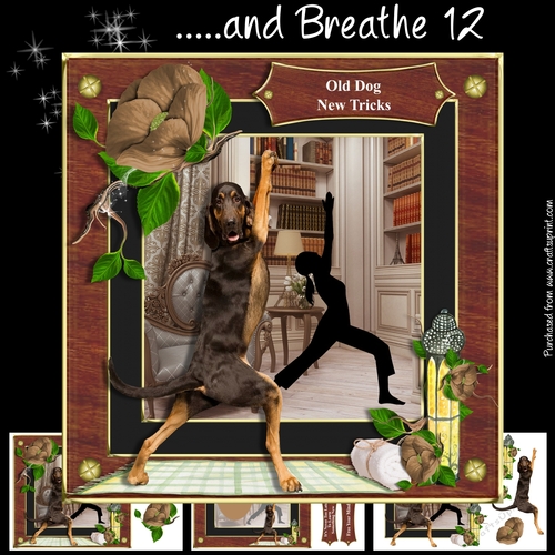 .....and Breathe 12