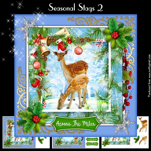 Seasonal Stags 2