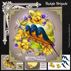 Budgie Brigade