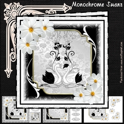 Monochrome Swans