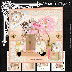 Drive In Style 3