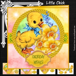 Little Chick