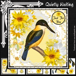 Quietly Waiting