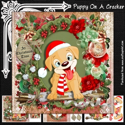 Puppy On A Cracker