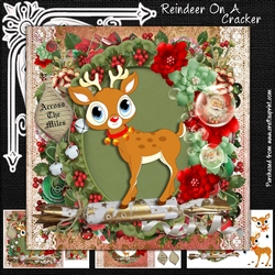 Reindeer On A Cracker