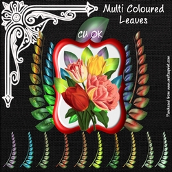 Multi Coloured Leaves